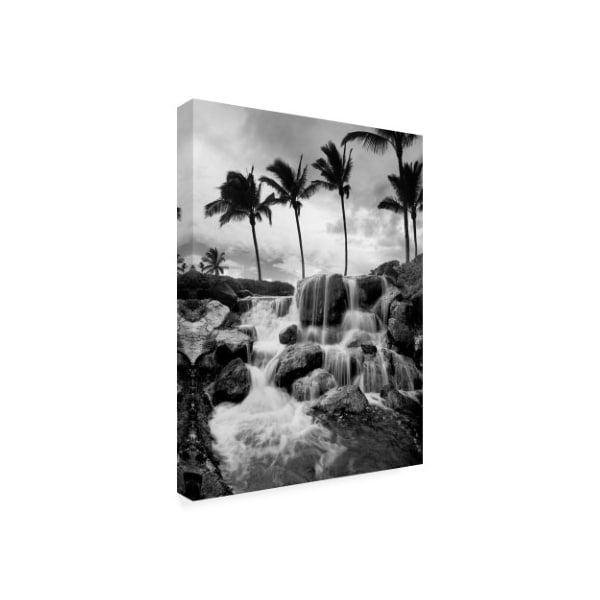 Monte Nagler 'Hawaiian Falls Big Island' Canvas Art,18x24